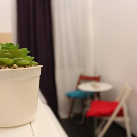 Studio In The Old Center Apartment